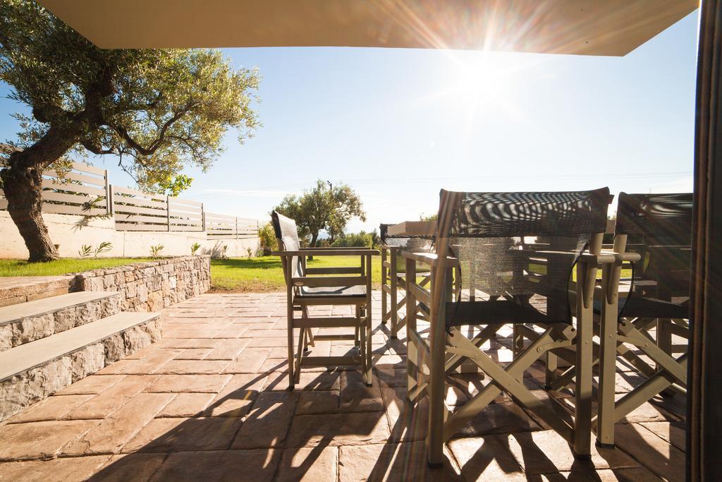 Olivia Estate Villa With Private Swimming Pool إيليا المظهر الخارجي الصورة