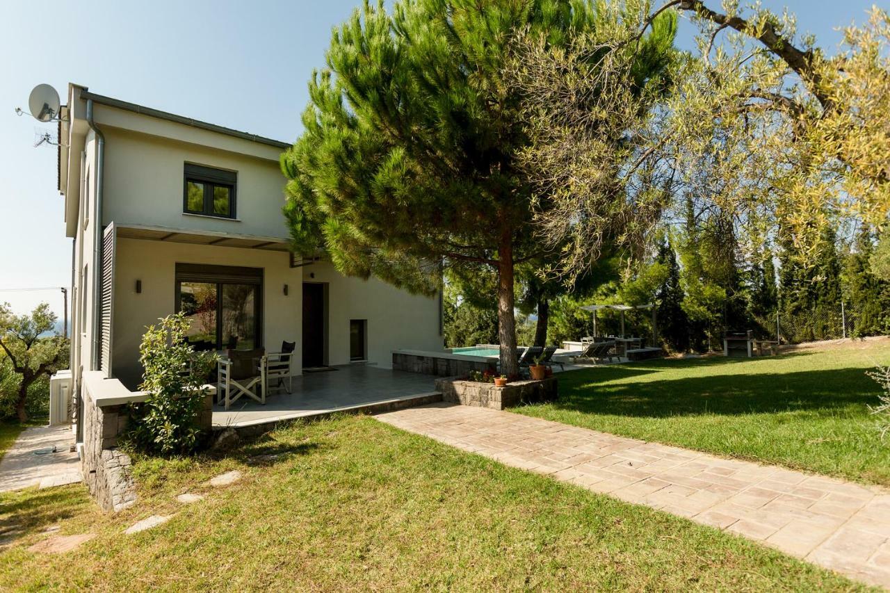 Olivia Estate Villa With Private Swimming Pool إيليا المظهر الخارجي الصورة